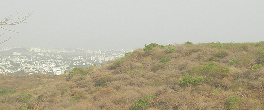 View of Pune from the Tekdi...